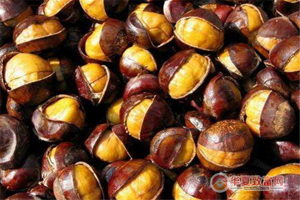 虹力芯板栗加盟